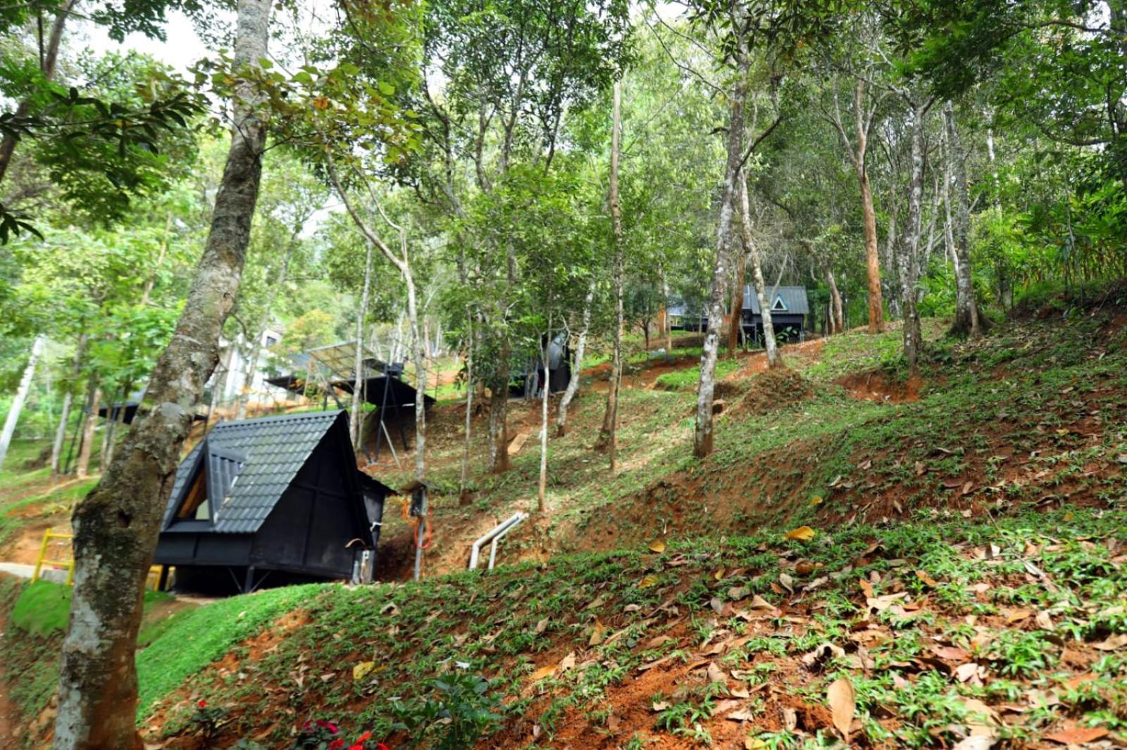 Garden Of Eden-Thottam Munnar-Hiking And Camping Anachal Экстерьер фото