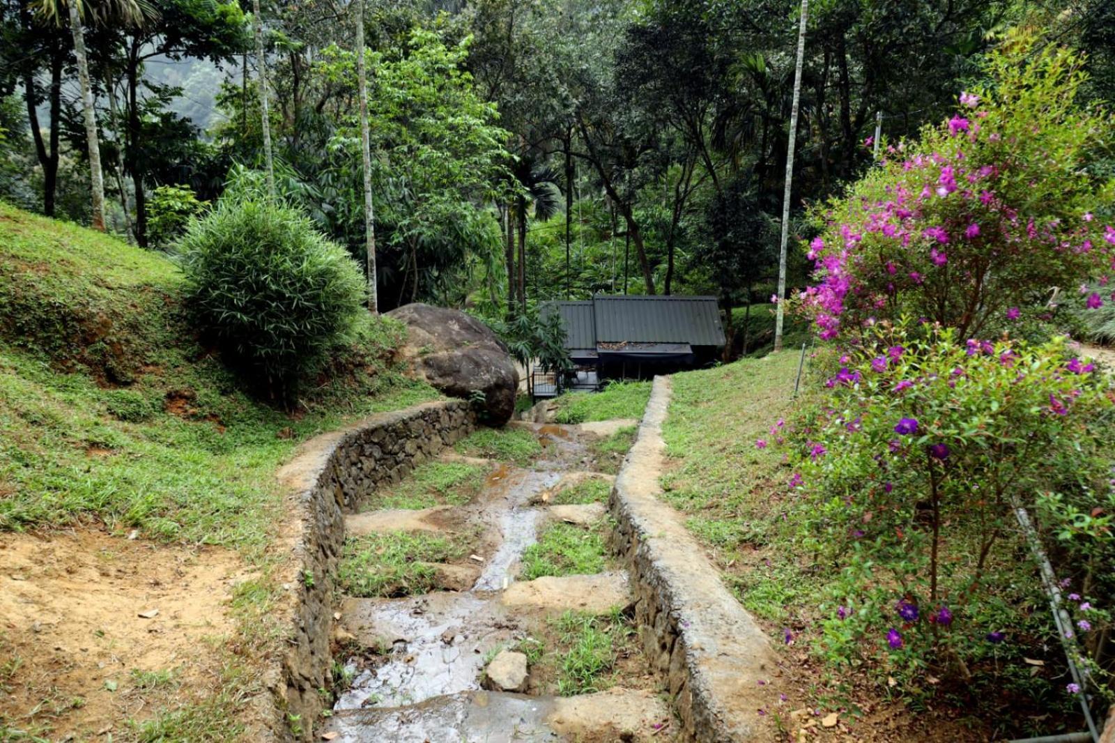 Garden Of Eden-Thottam Munnar-Hiking And Camping Anachal Экстерьер фото