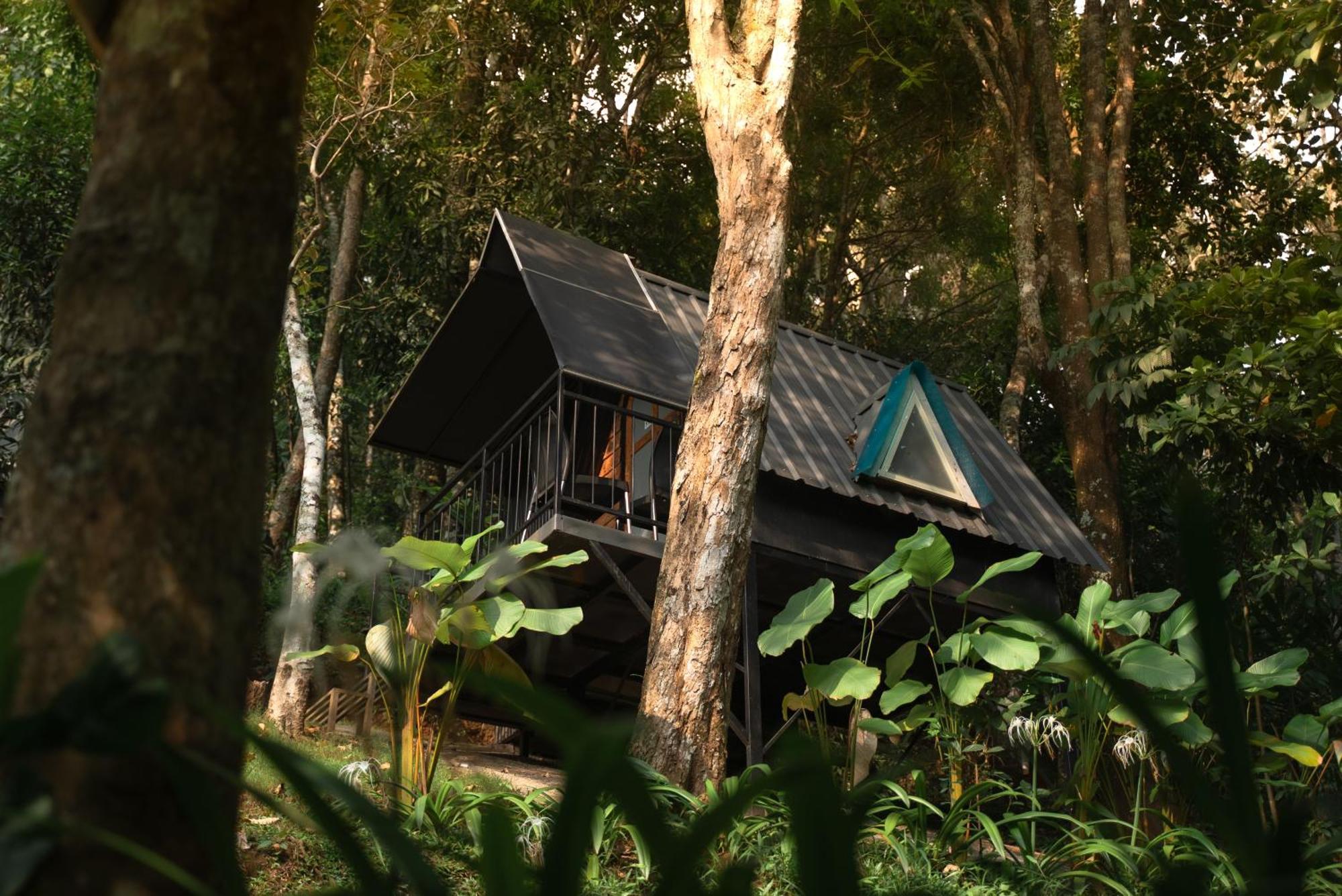 Garden Of Eden-Thottam Munnar-Hiking And Camping Anachal Экстерьер фото