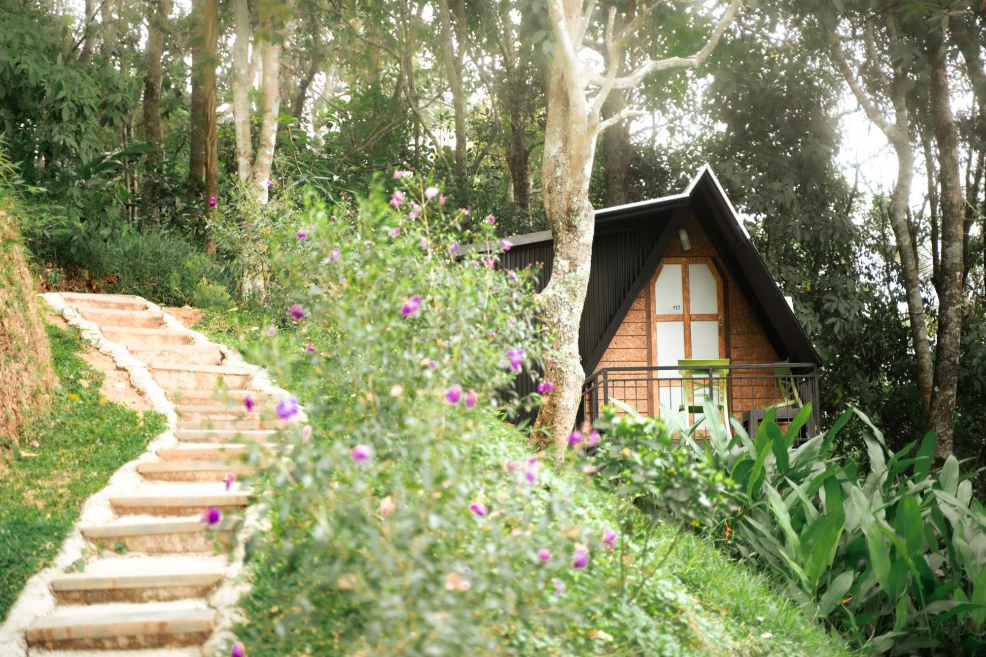 Garden Of Eden-Thottam Munnar-Hiking And Camping Anachal Экстерьер фото