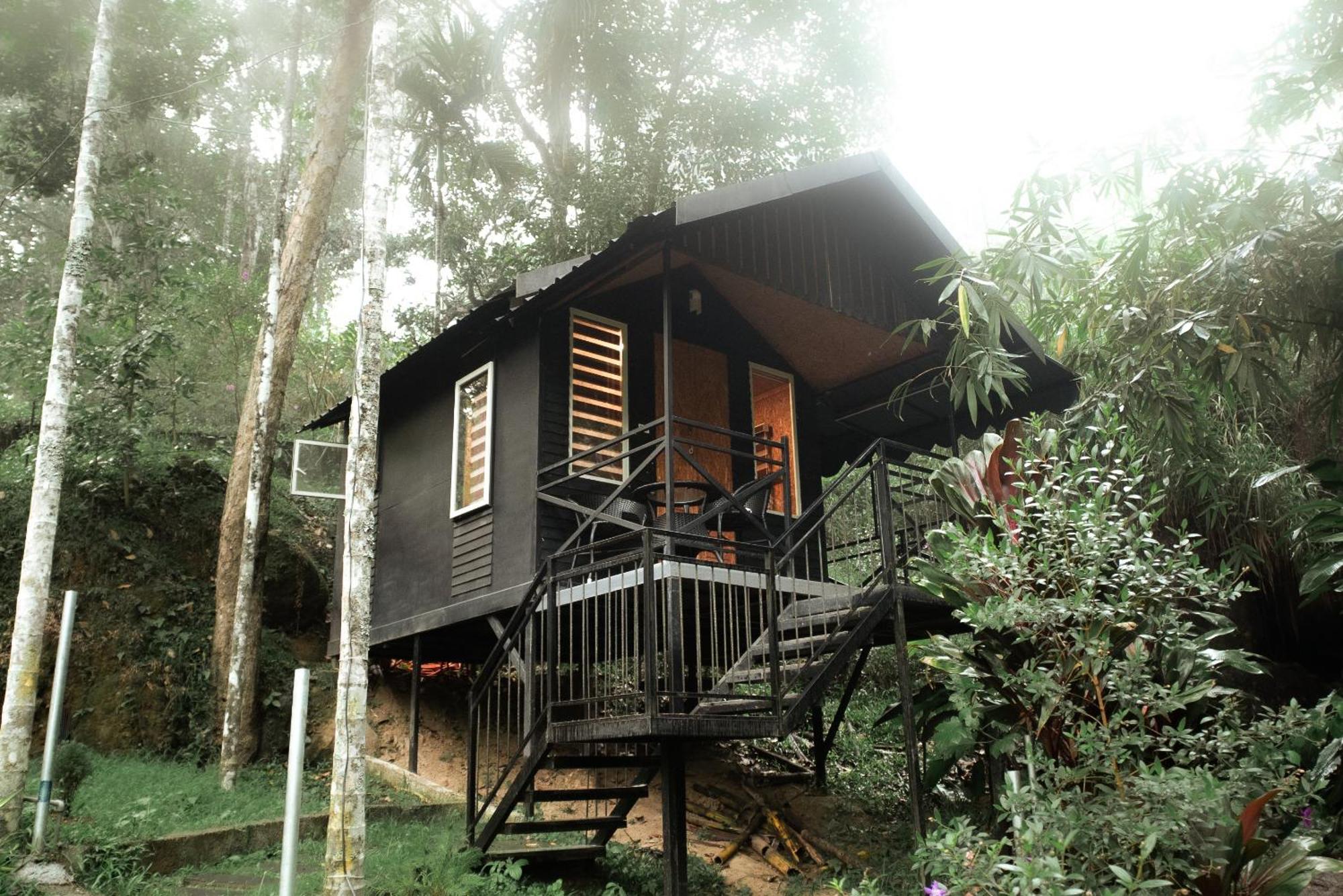 Garden Of Eden-Thottam Munnar-Hiking And Camping Anachal Экстерьер фото