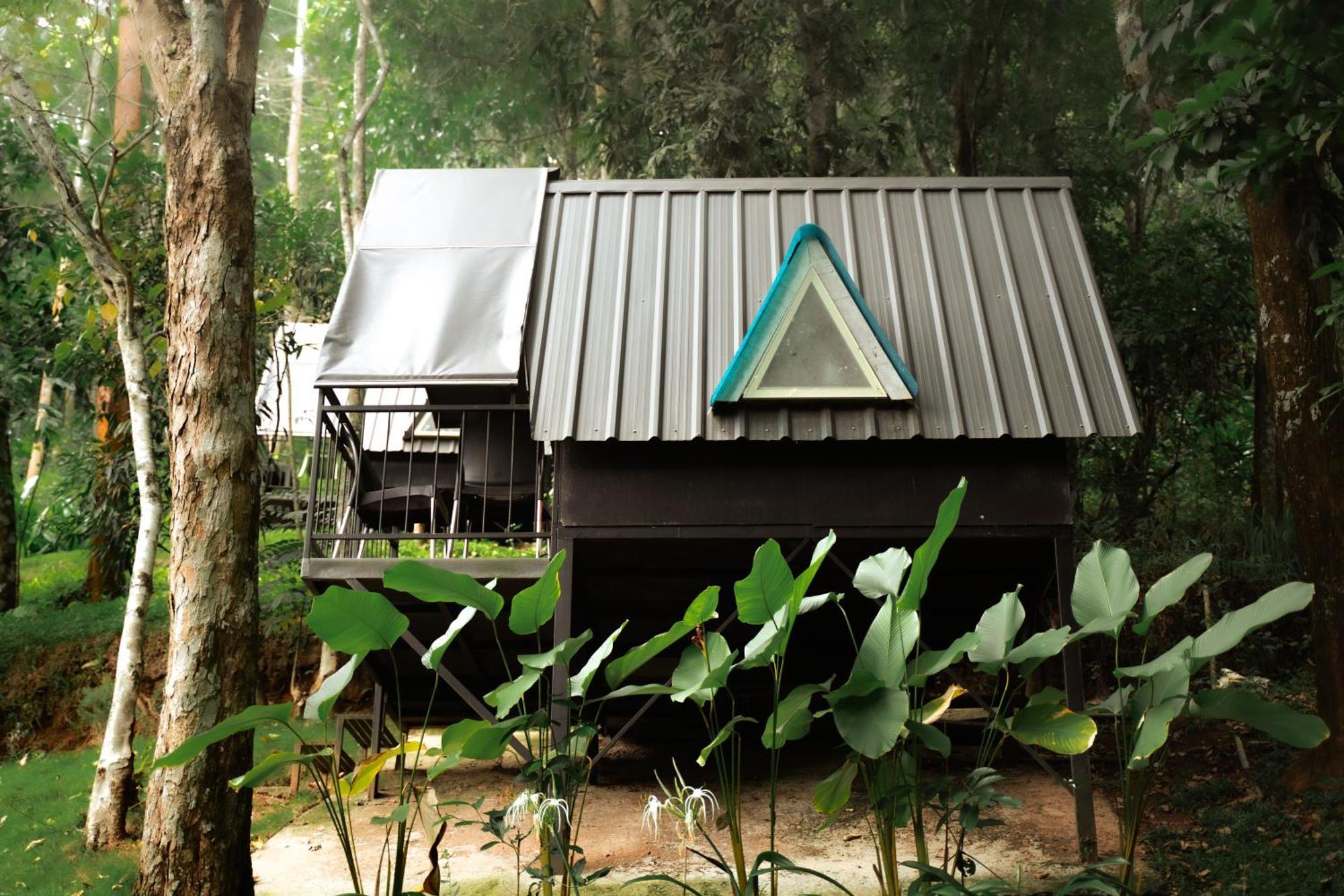Garden Of Eden-Thottam Munnar-Hiking And Camping Anachal Экстерьер фото